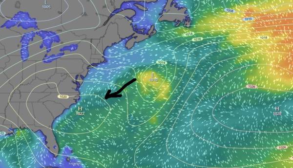 mid week waves