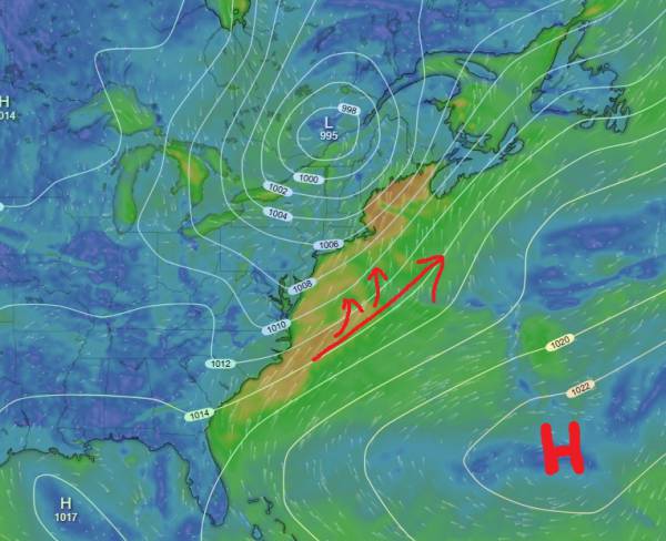 20260718_ecmwf_wind